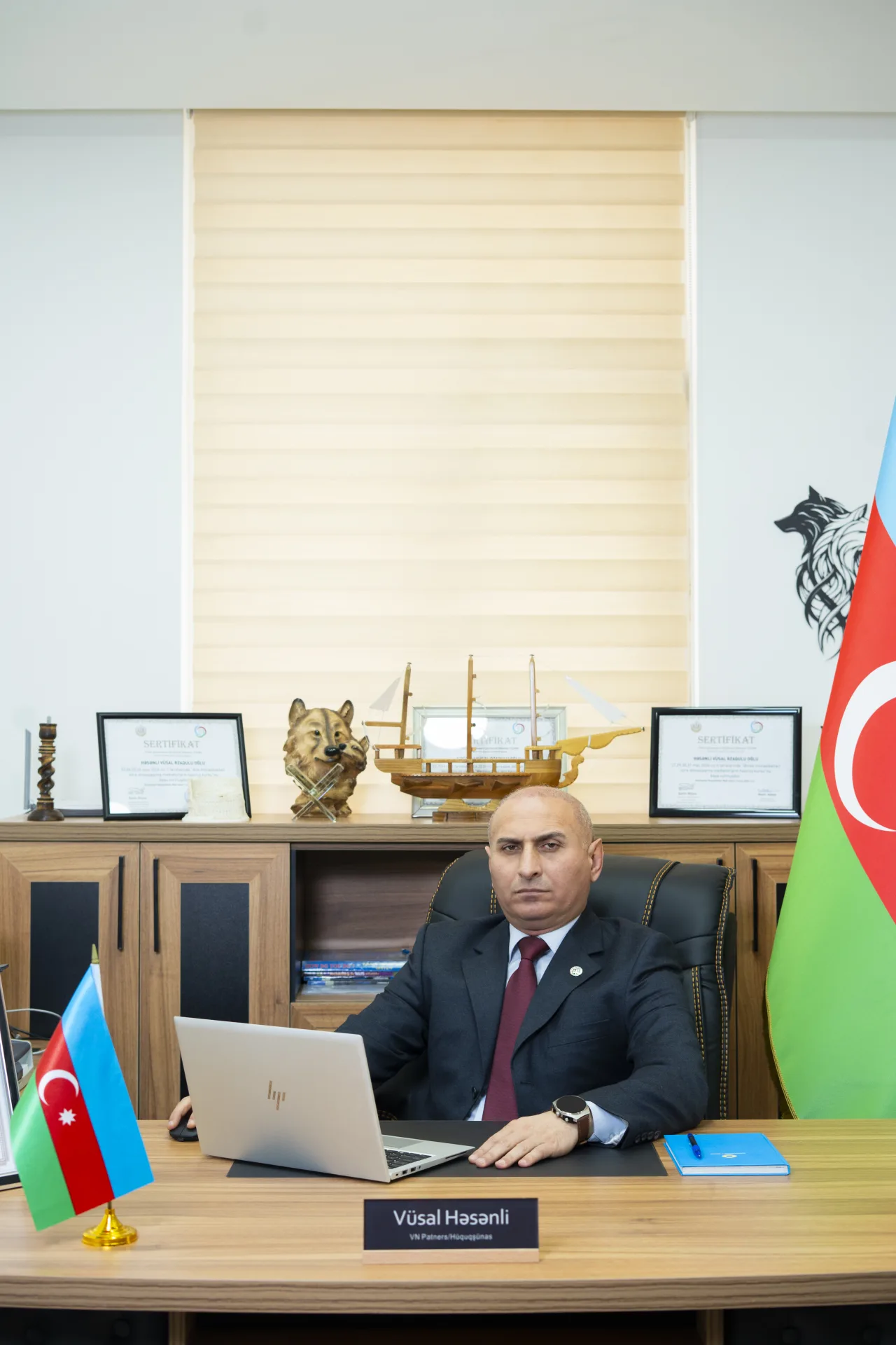 Vüsal Həsənli peşəkar